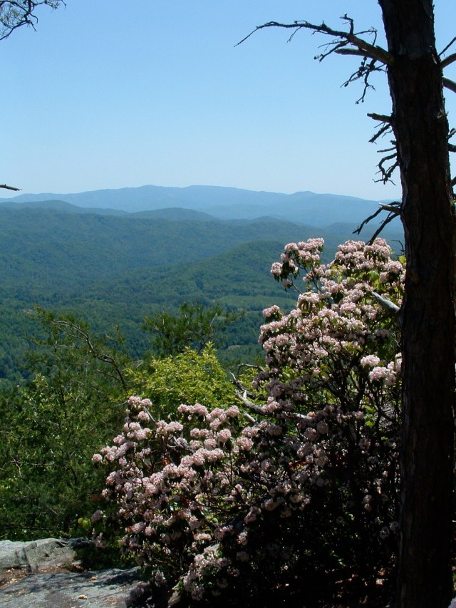 Look Rock, Great Smoky Mountains National Park