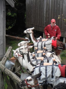 llamas, llama wrangler, Mt. LeConte, LeConte Lodge