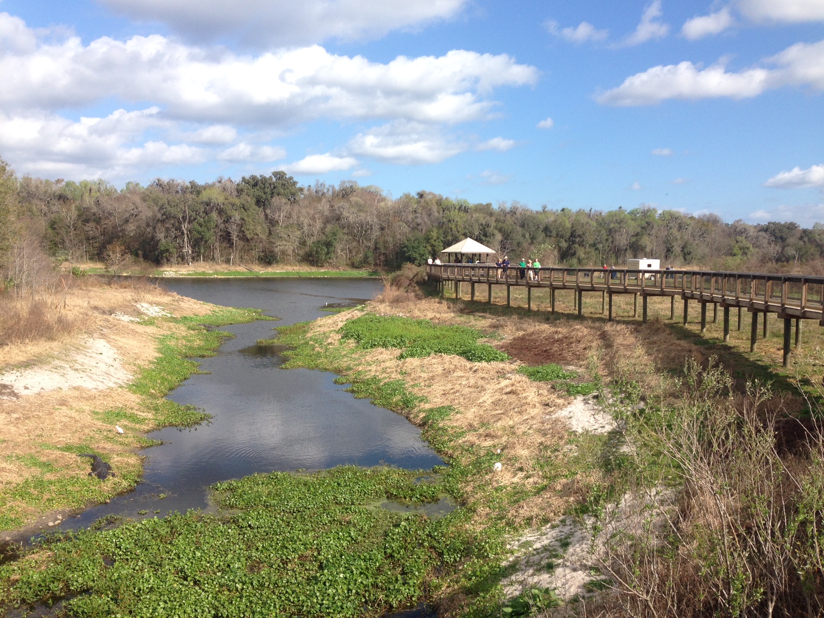 LaChua Trail boardwalk