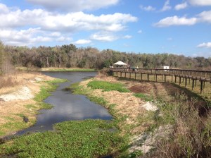 LaChua Trail boardwalk