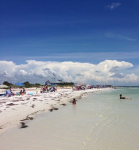 Honeymoon Island State Park - photo by Julie Dodd
