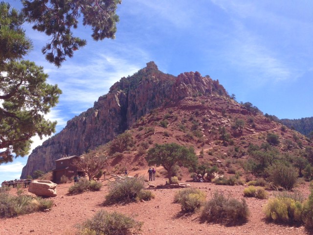 View at Cedar Ridge - photo by Julie Dodd