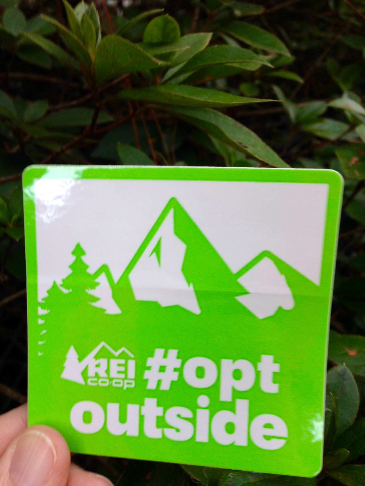 REI #OptOutside sticker