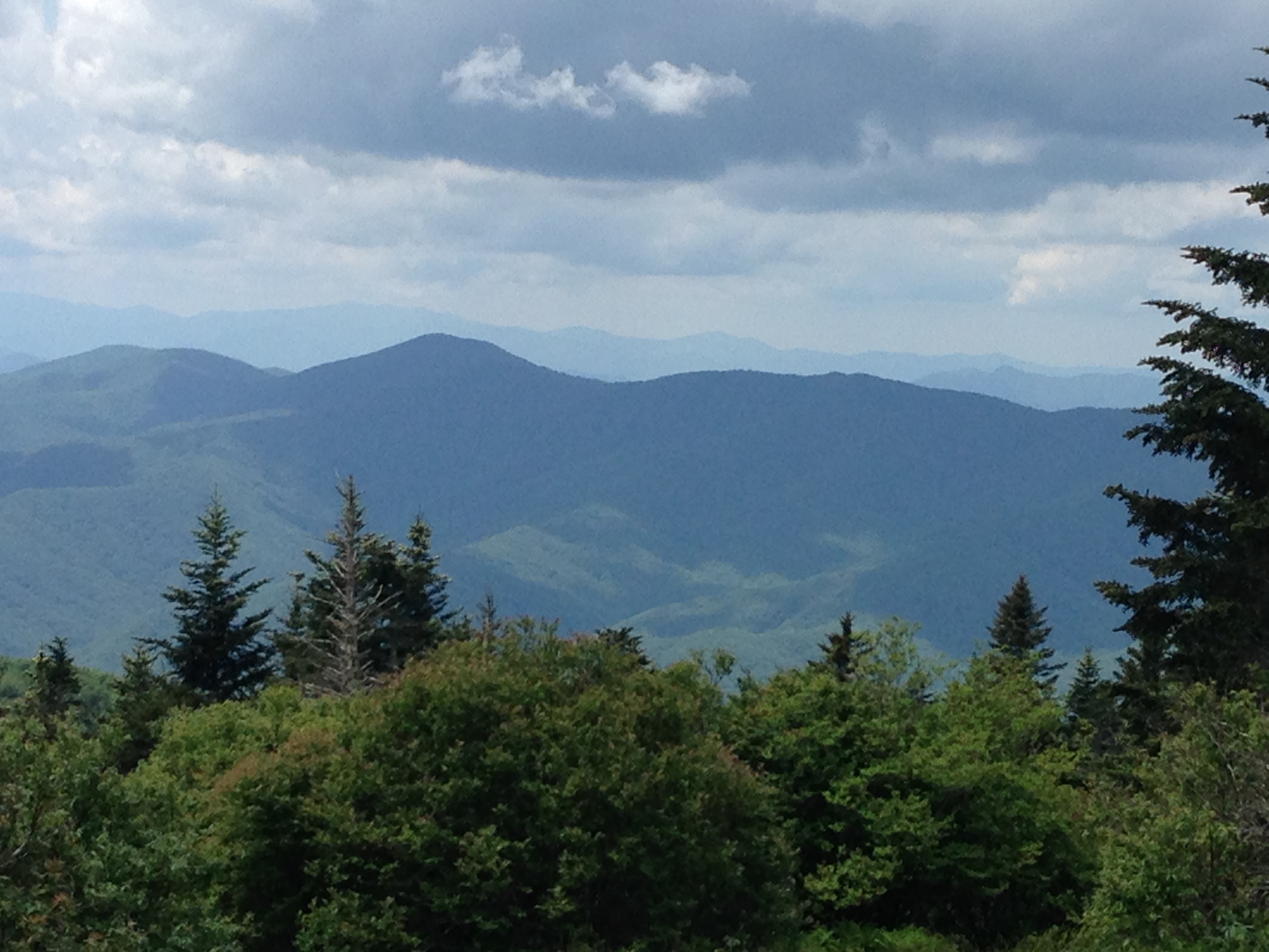 view from Andrews Bald - photo by Julie Dodd