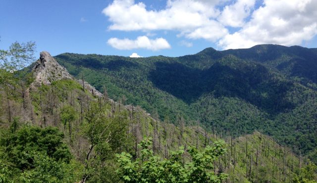 Chimney Tops after fire photo by Julie Dodd