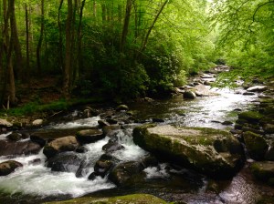 GSMNP Little River - photo by Julie Dodd