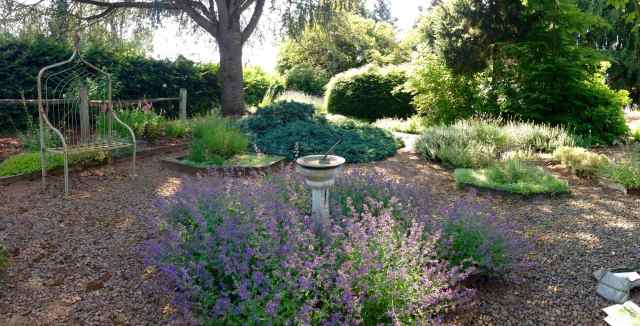 Barn Owl Nursery garden