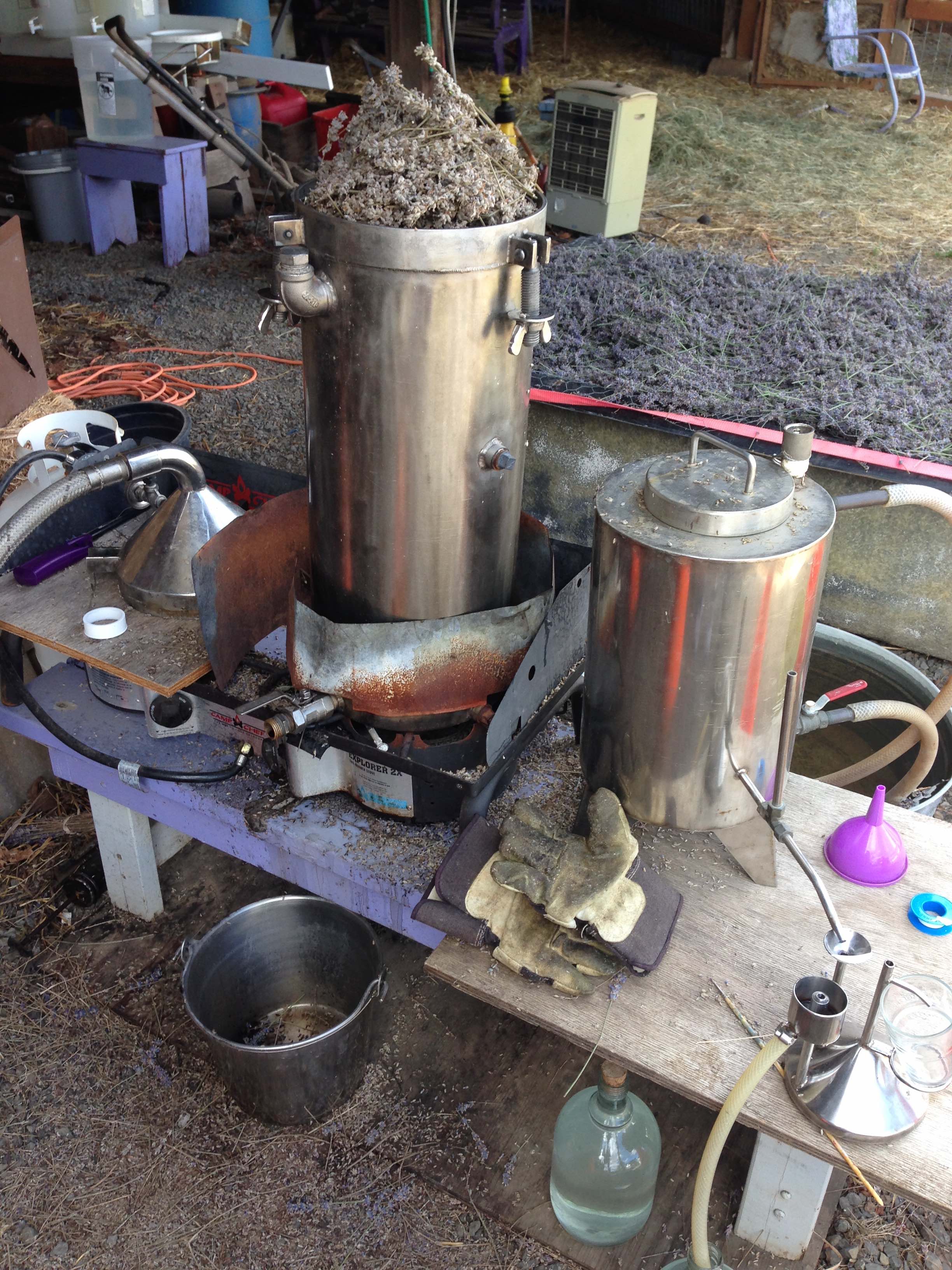 lavender still at Mountainside Lavender Farm