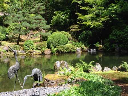 Portland Japanese Garden Strolling Pond Garden