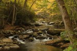 GSMNP Little River - Photo by Julie Dodd
