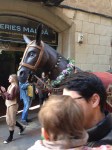 Mule in Festes de San Jose Oriol