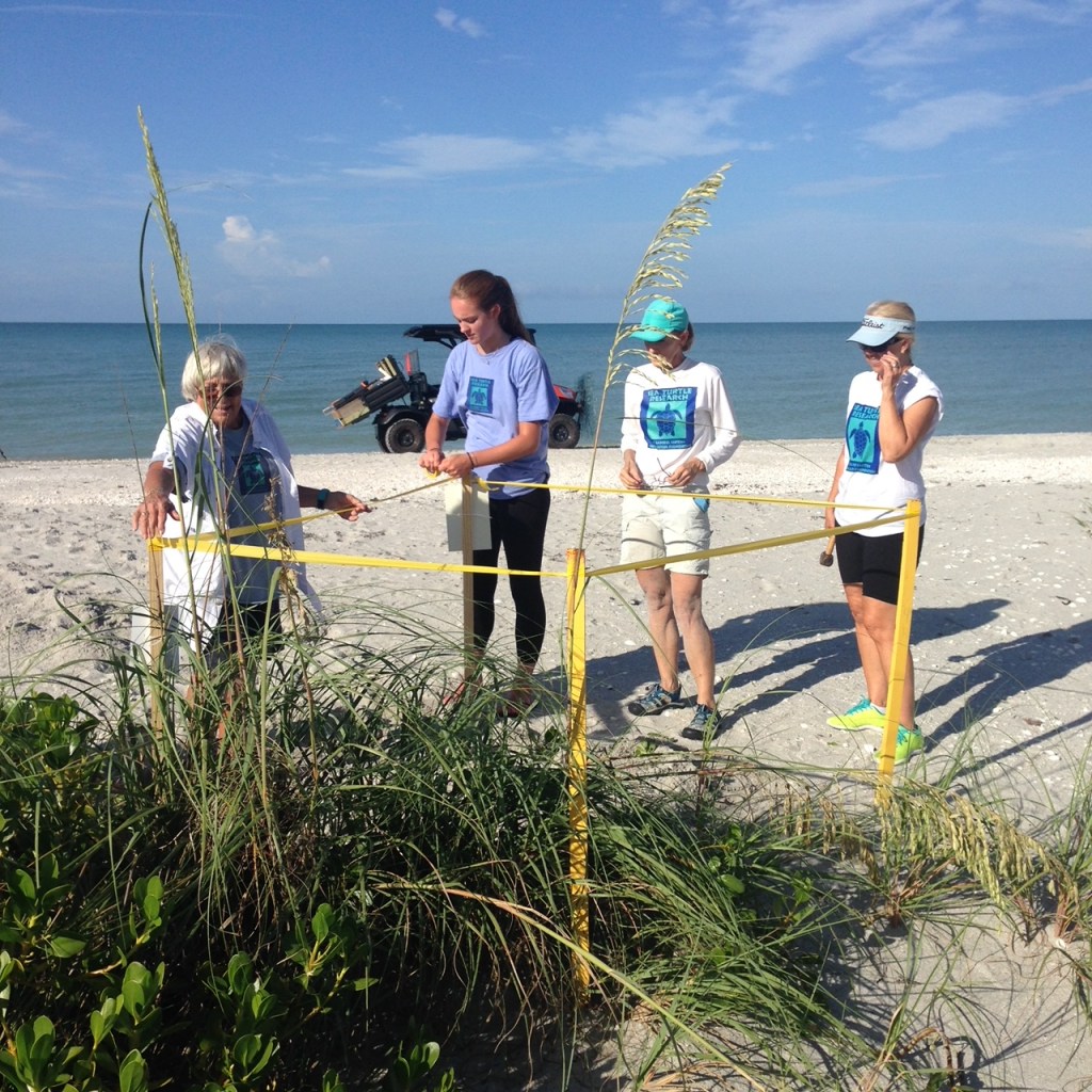marking sea turtle nesting site