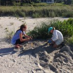 volunteers install screen over sea turtle nest