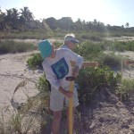 installing posts around sea turtle nest