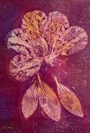 azalea blossom gelli print